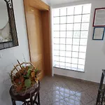 Apartment Mandica *